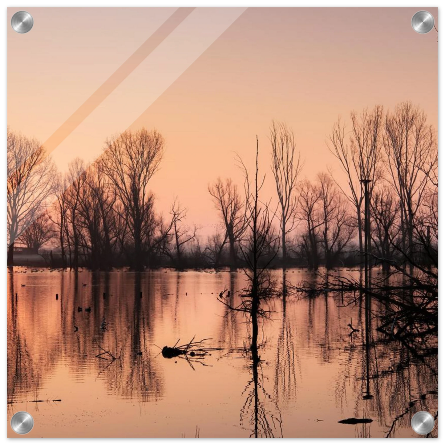 Wandbild mystischer sonnenuntergang am see vertraeumtes naturbild zum aufhaengen in ihrer wunschgroesse
