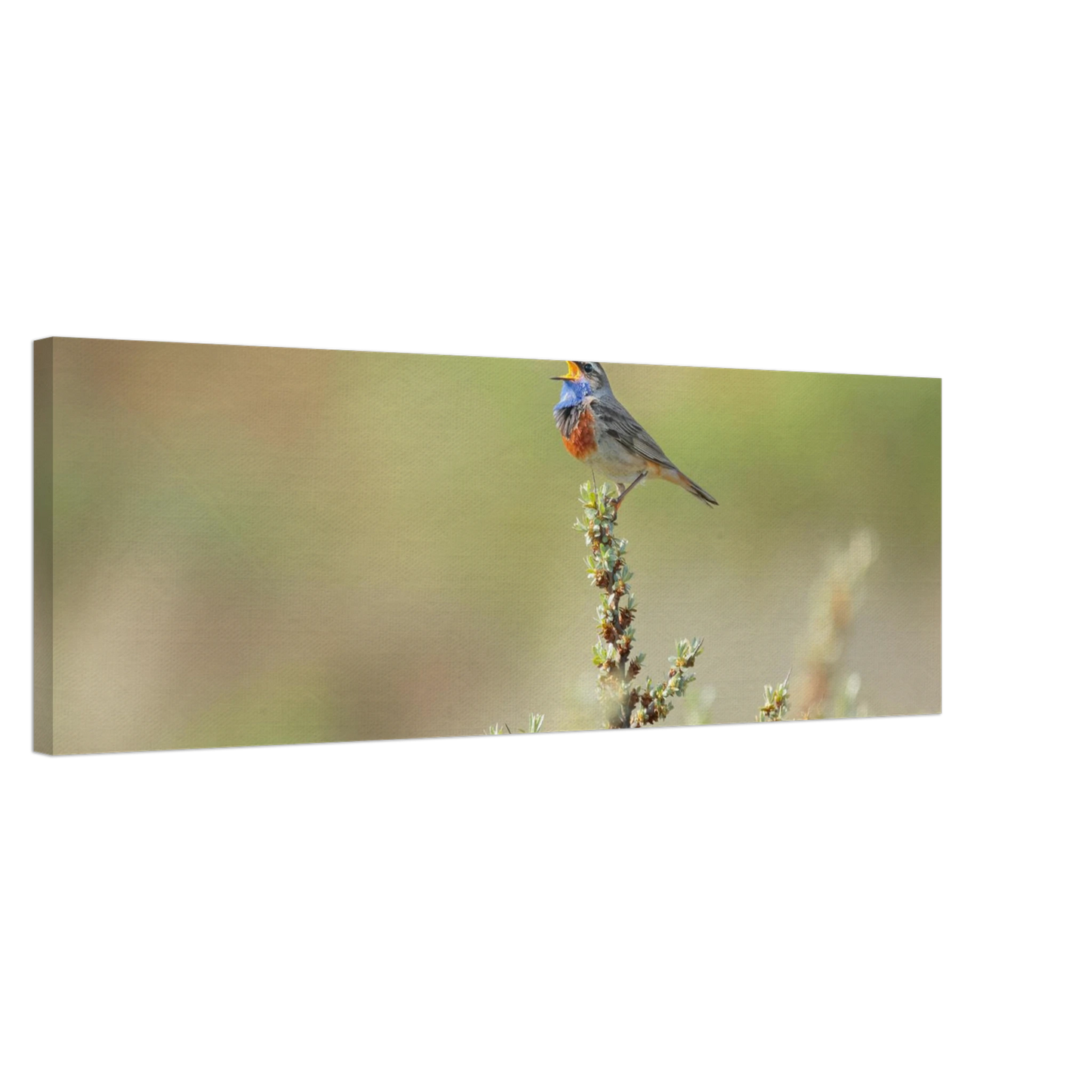 Wandbild der ruf der wildnis ein lebhaftes vogelportraet
