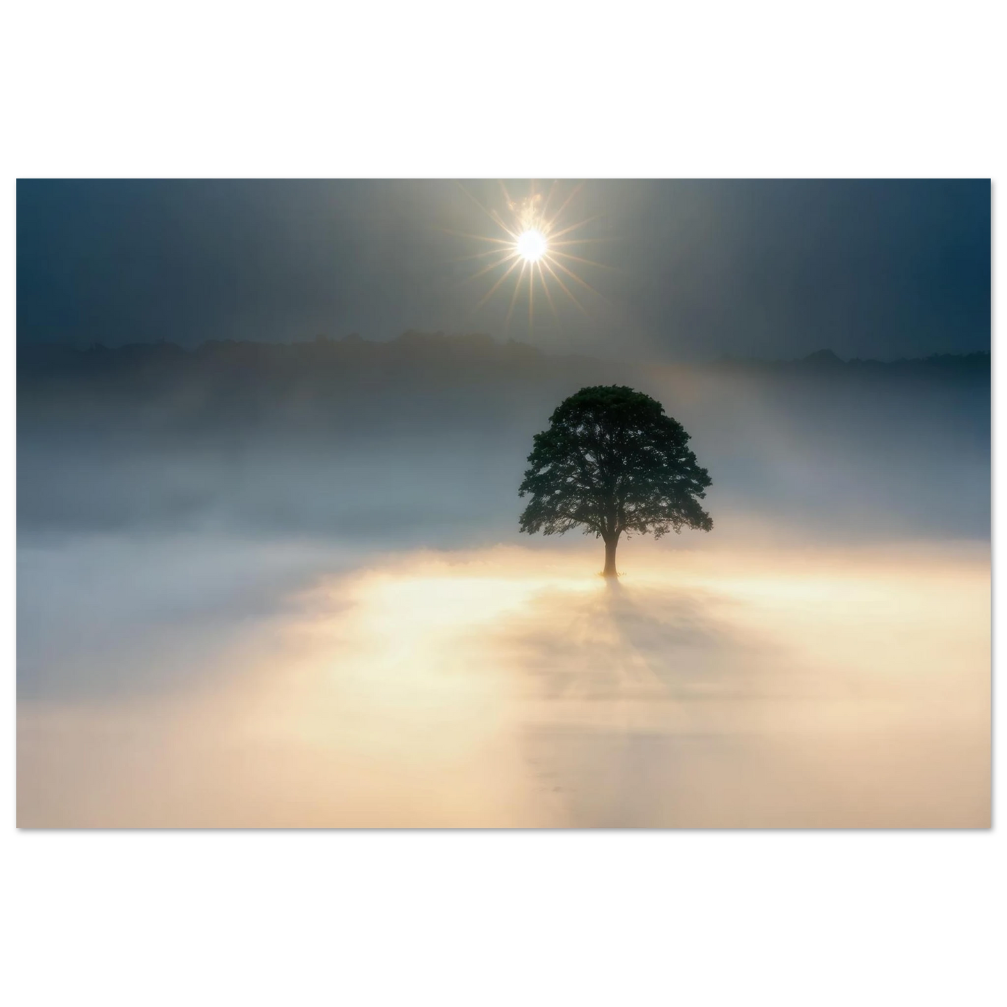 Wandbild mystisches baum wandbild einzelner baum im nebel sonnenaufgang waehlbar in verschiedenen groessen