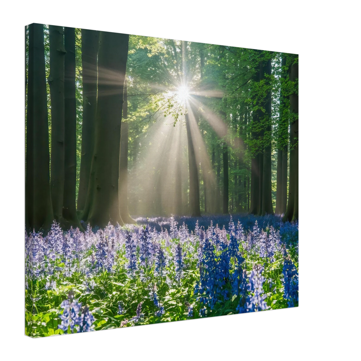 Wandbild bezaubernder wald mit sonnenstrahlen und lila bluetenmeer dein stueck natur