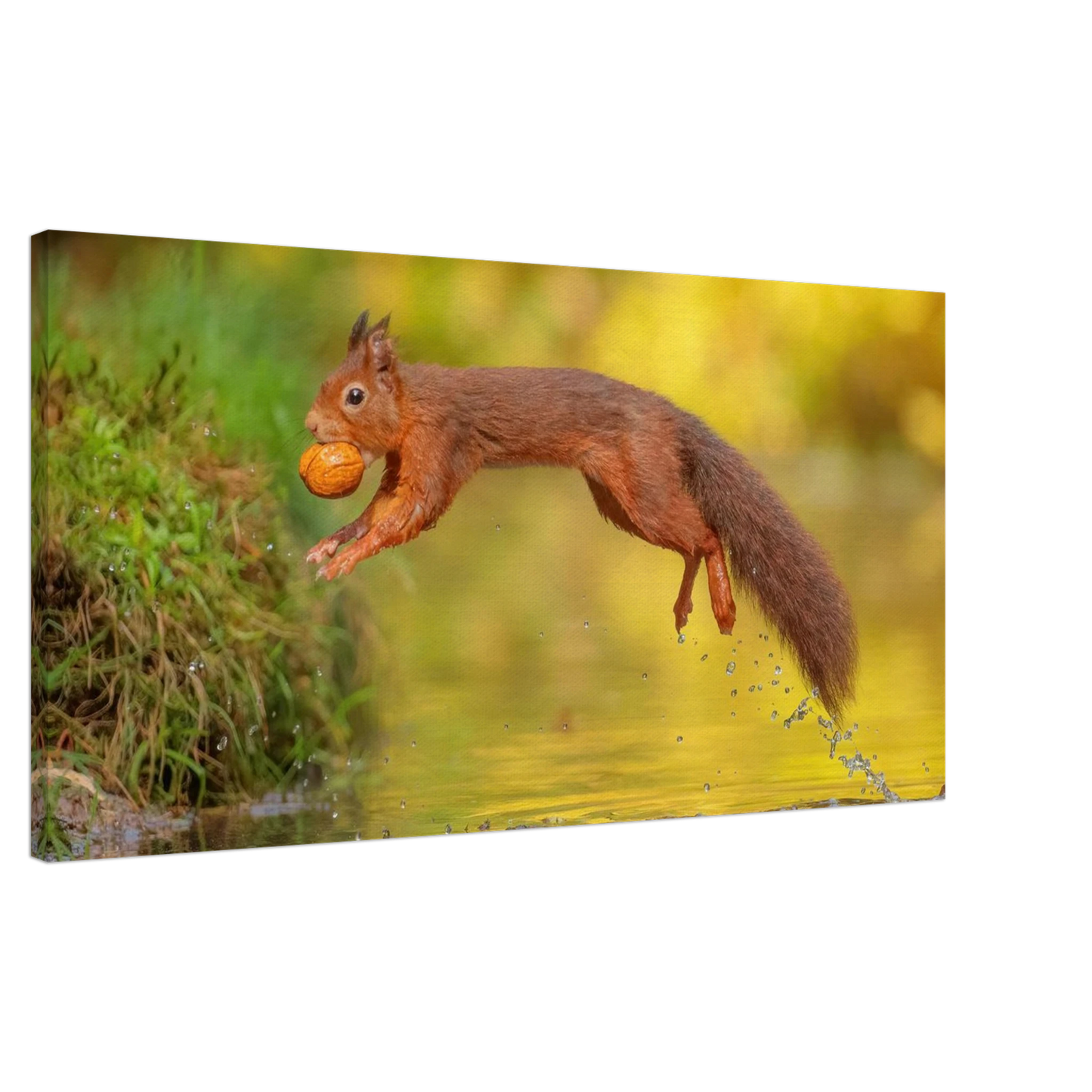 Wandbild eichhoernchen mit nuss dynamische tierkunst in leuchtenden herbstfarben