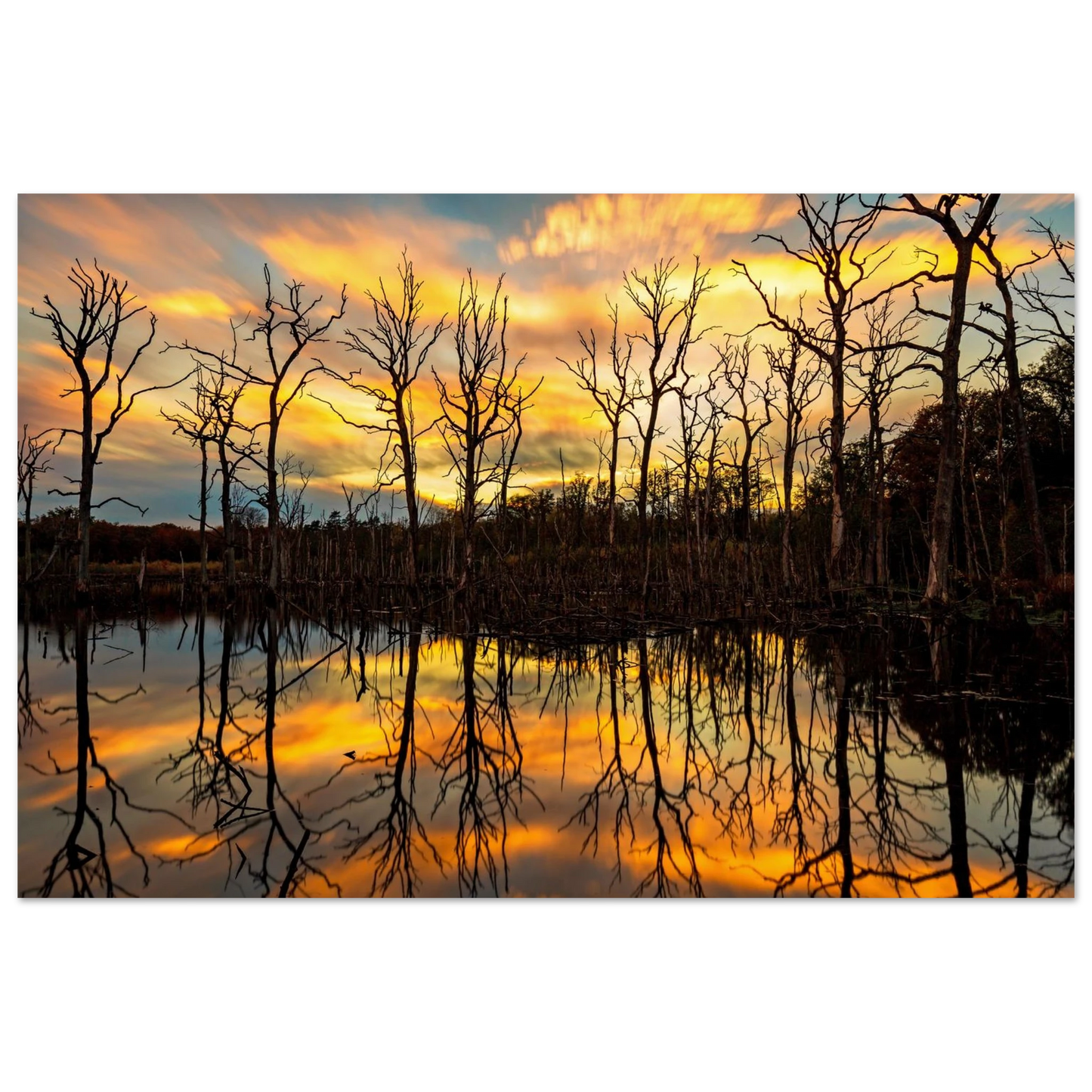 Wandbild mystischer sonnenuntergang ueber dem baumsee lebendige kunstdrucke in vielen groessen