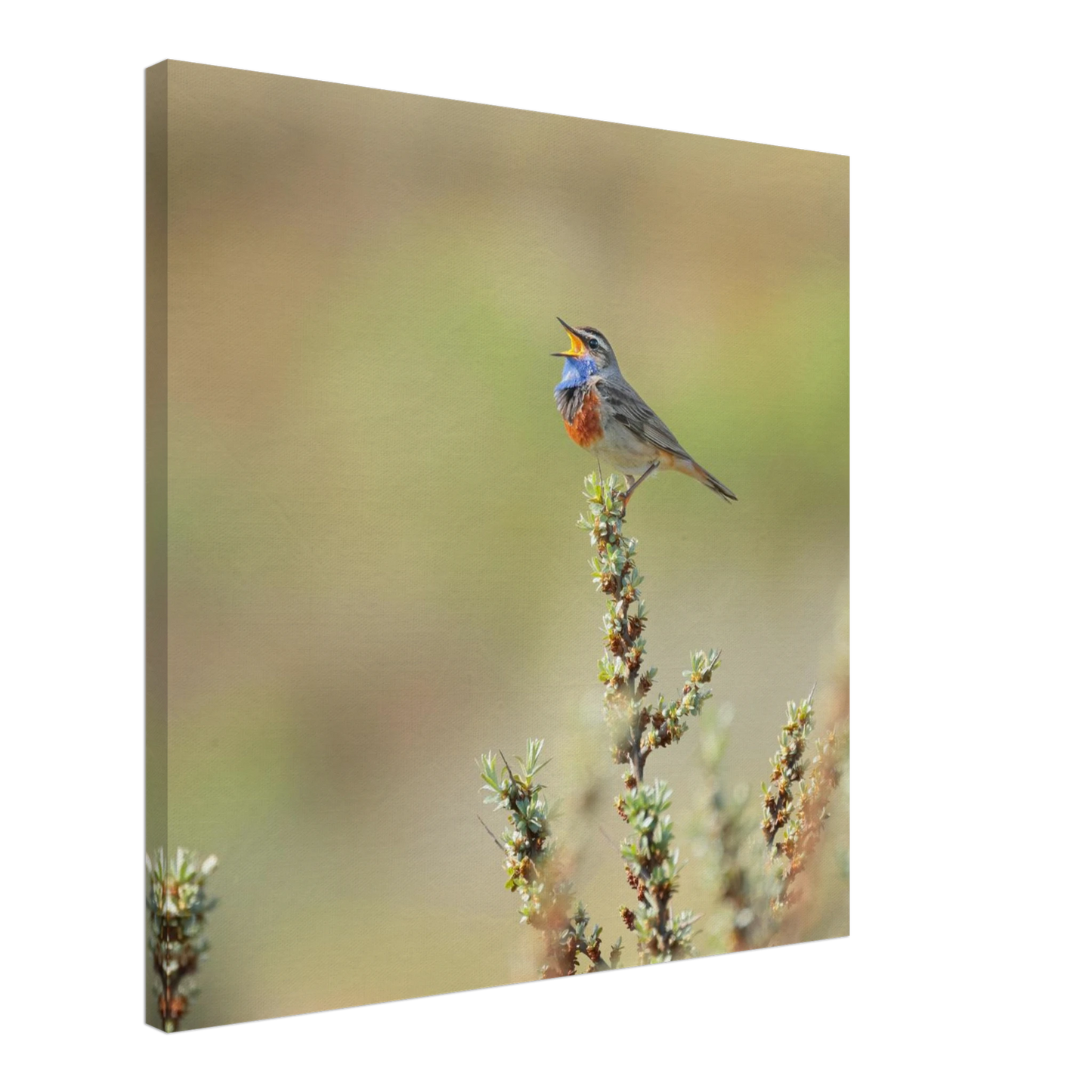 Wandbild der ruf der wildnis ein lebhaftes vogelportraet