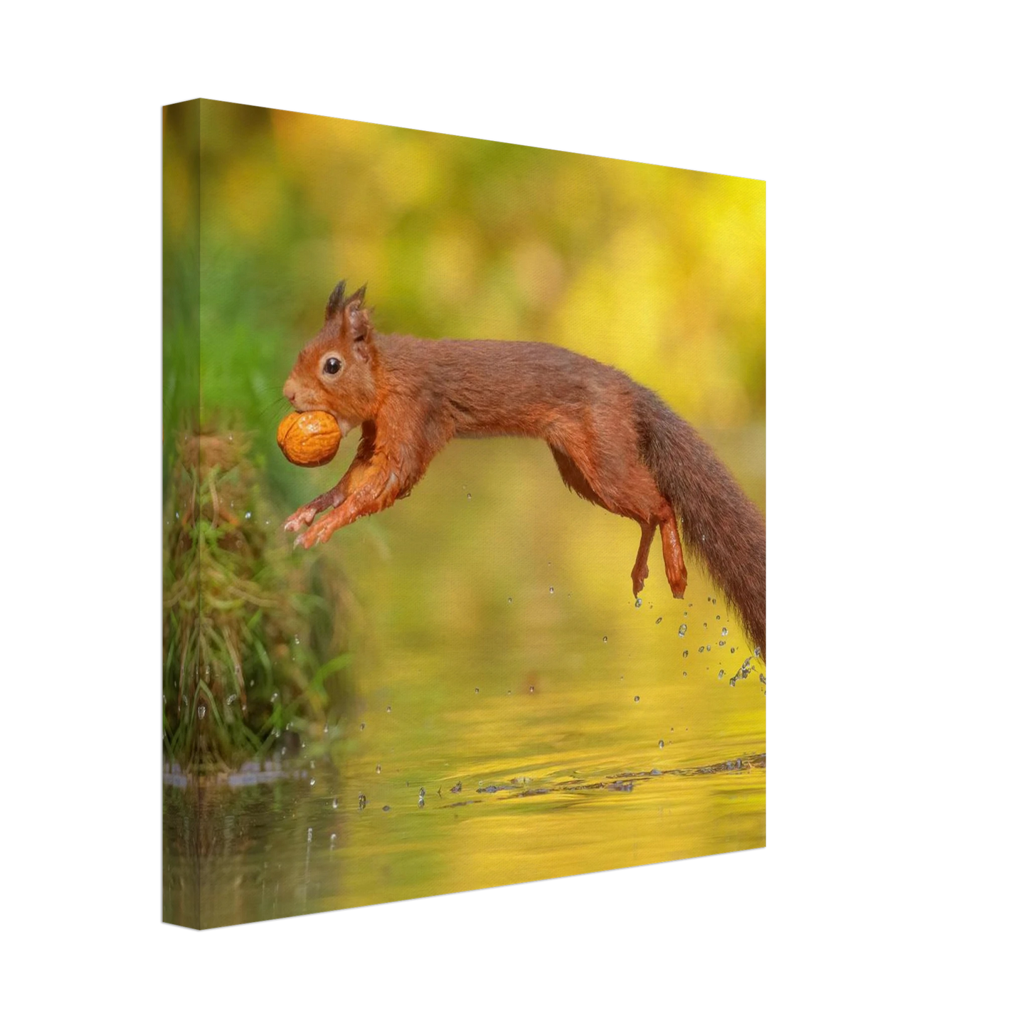 Wandbild eichhoernchen mit nuss dynamische tierkunst in leuchtenden herbstfarben