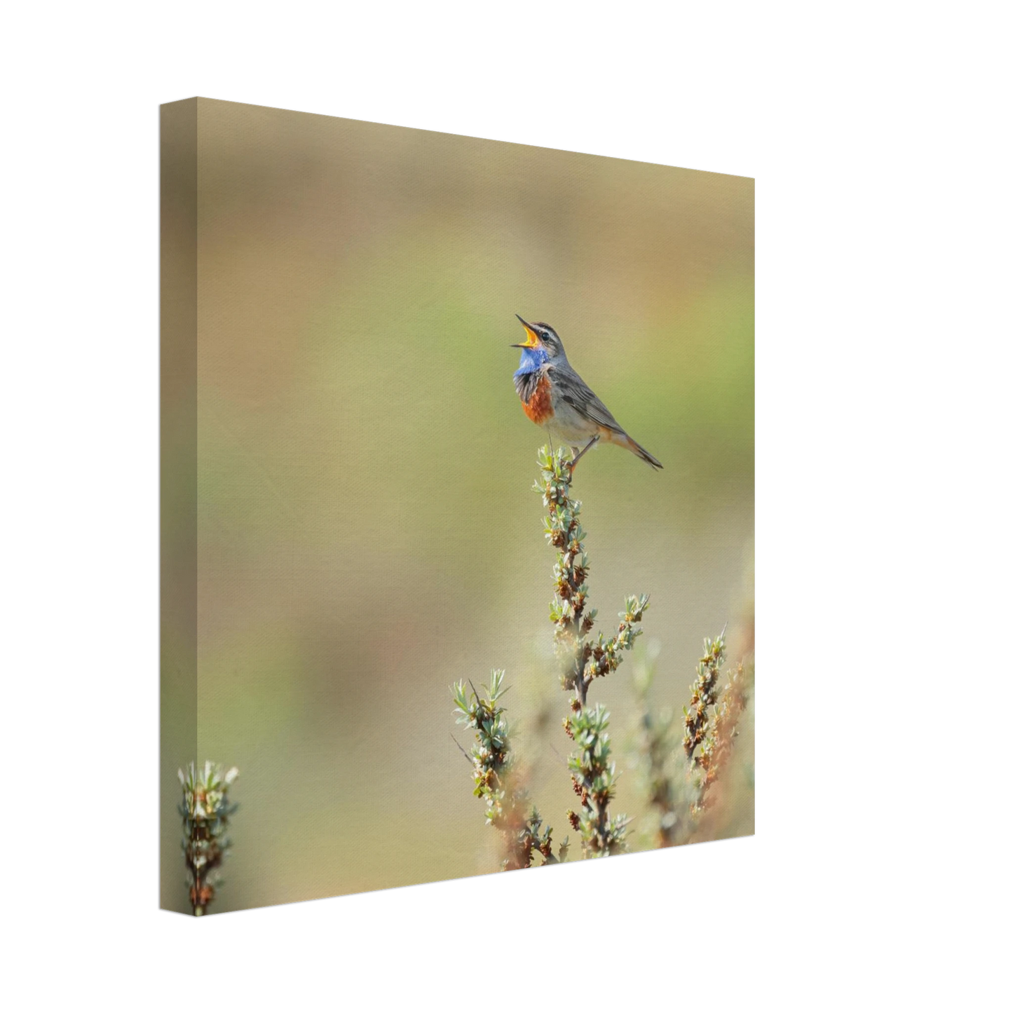 Wandbild der ruf der wildnis ein lebhaftes vogelportraet