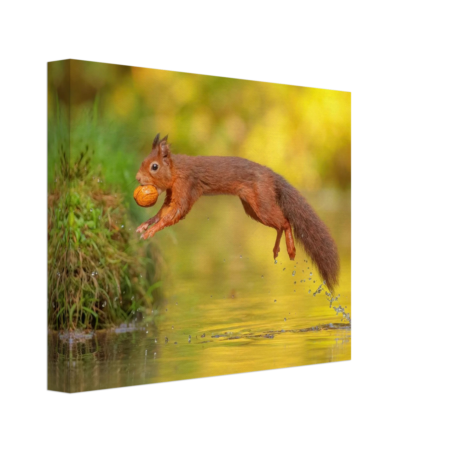 Wandbild eichhoernchen mit nuss dynamische tierkunst in leuchtenden herbstfarben