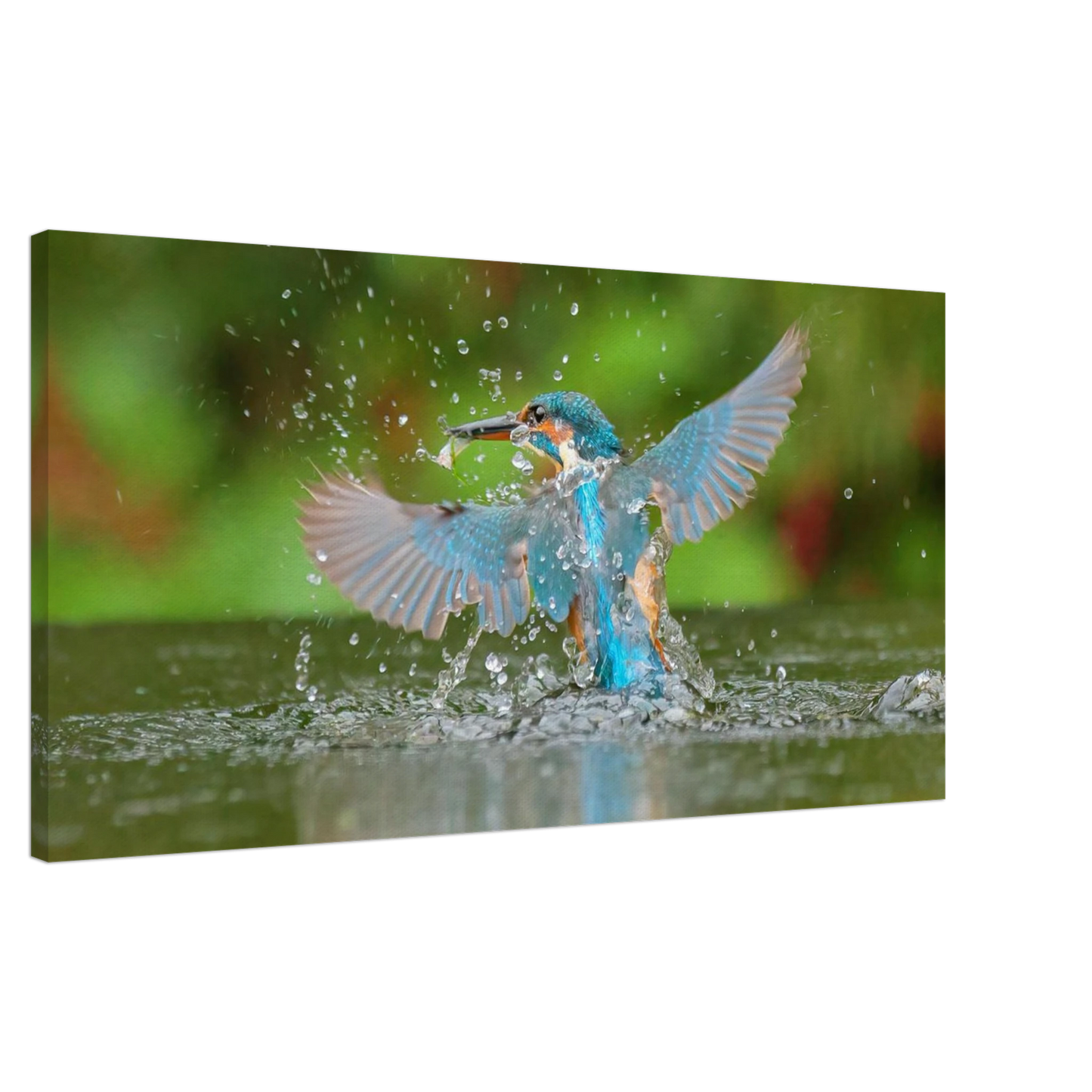 Wandbild eisvogel lebendige pracht ein dynamisches meisterwerk der wildnis