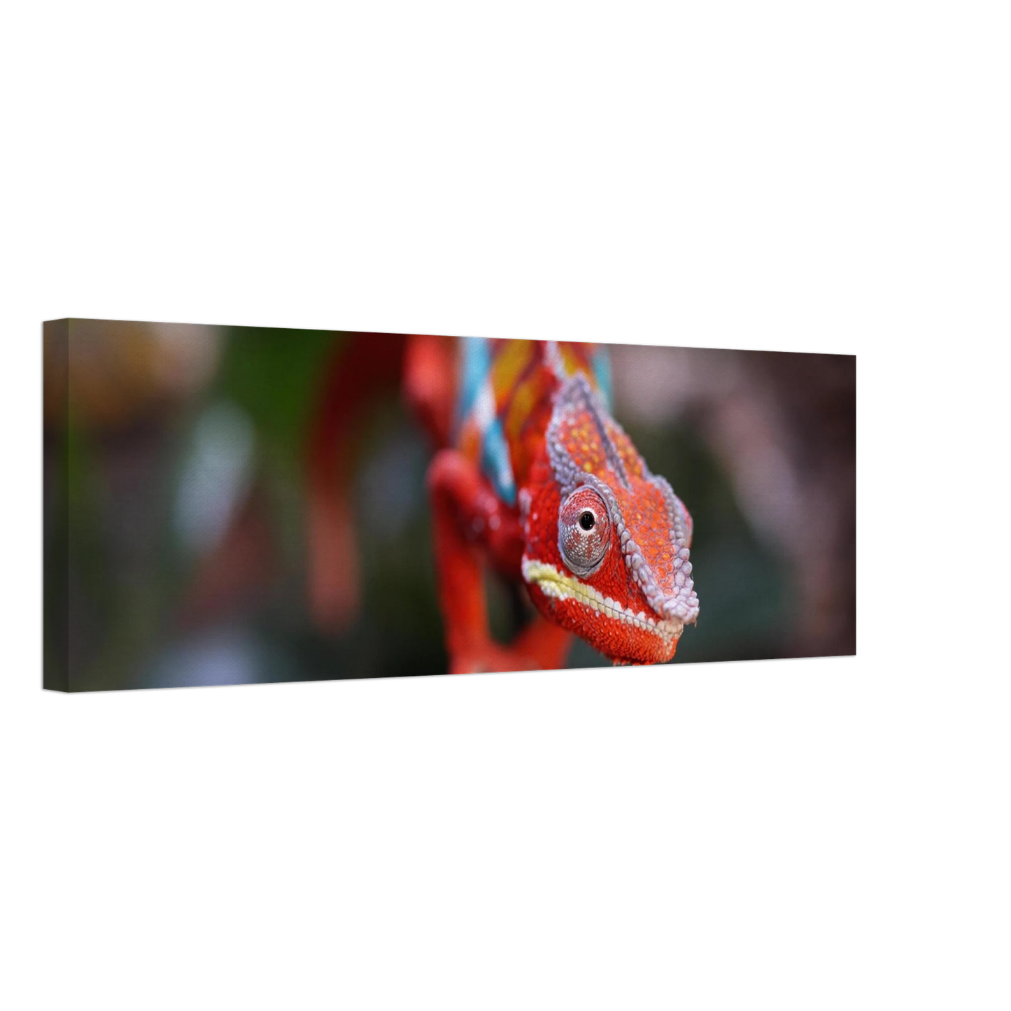 Wandbild faszinierendes chamaeleon portraet lebendige tierkunst fuer ihr zuhause in ihrer wunschgroesse