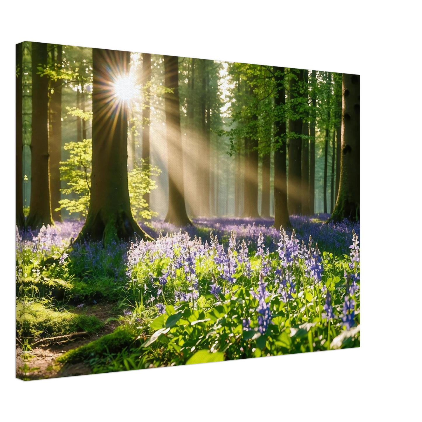 Wandbild mystischer morgenwald mit sonnenstrahlen und lila blueten in vielen groessen