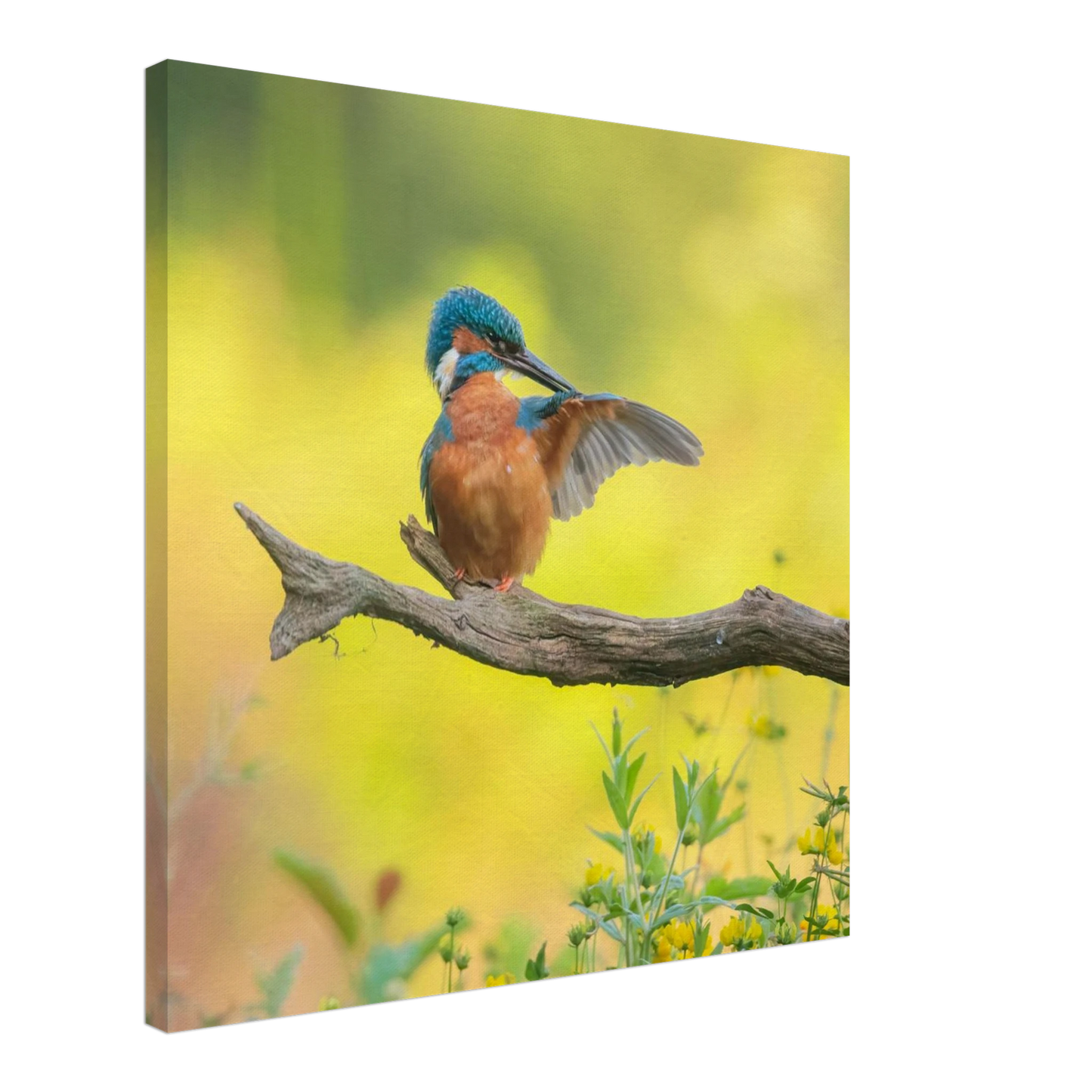 Wandbild eisvogel lebendige naturkunst fuer ihr zuhause