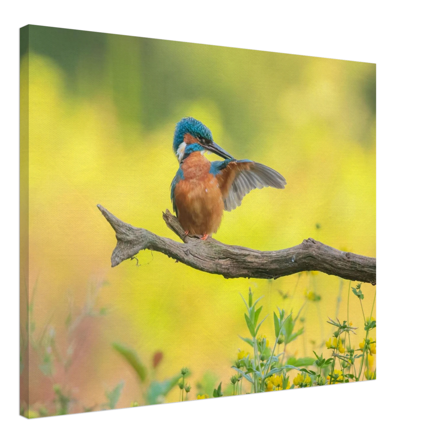 Wandbild eisvogel lebendige naturkunst fuer ihr zuhause