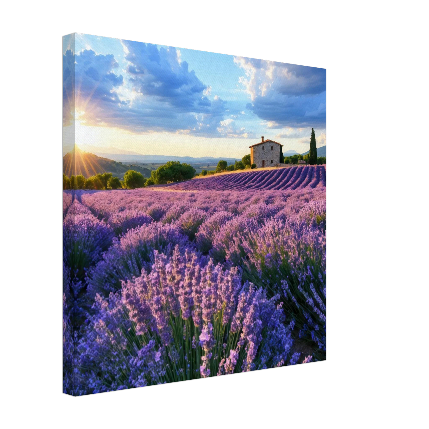 Wandbild sonnenuntergang ueber lavendelfeldern idyllische provence landschaft im wunschformat