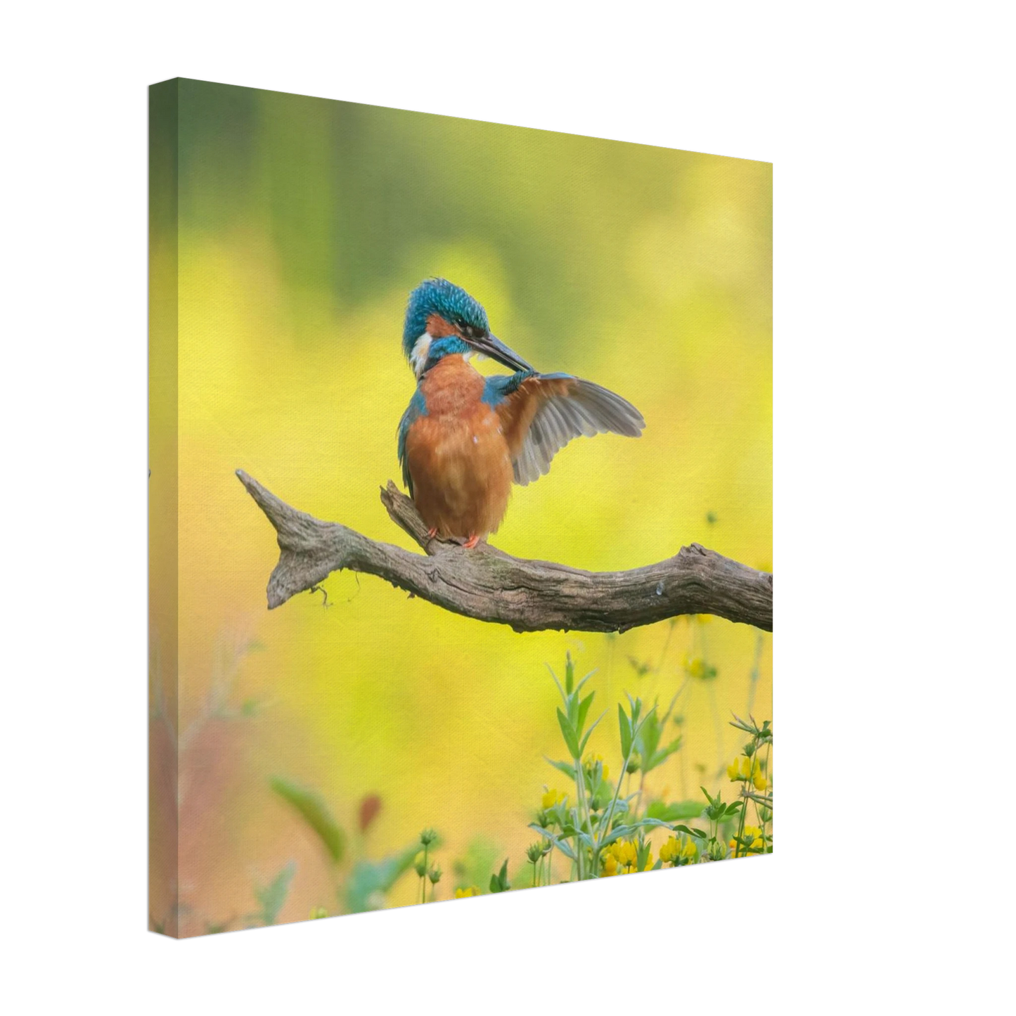 Wandbild eisvogel lebendige naturkunst fuer ihr zuhause