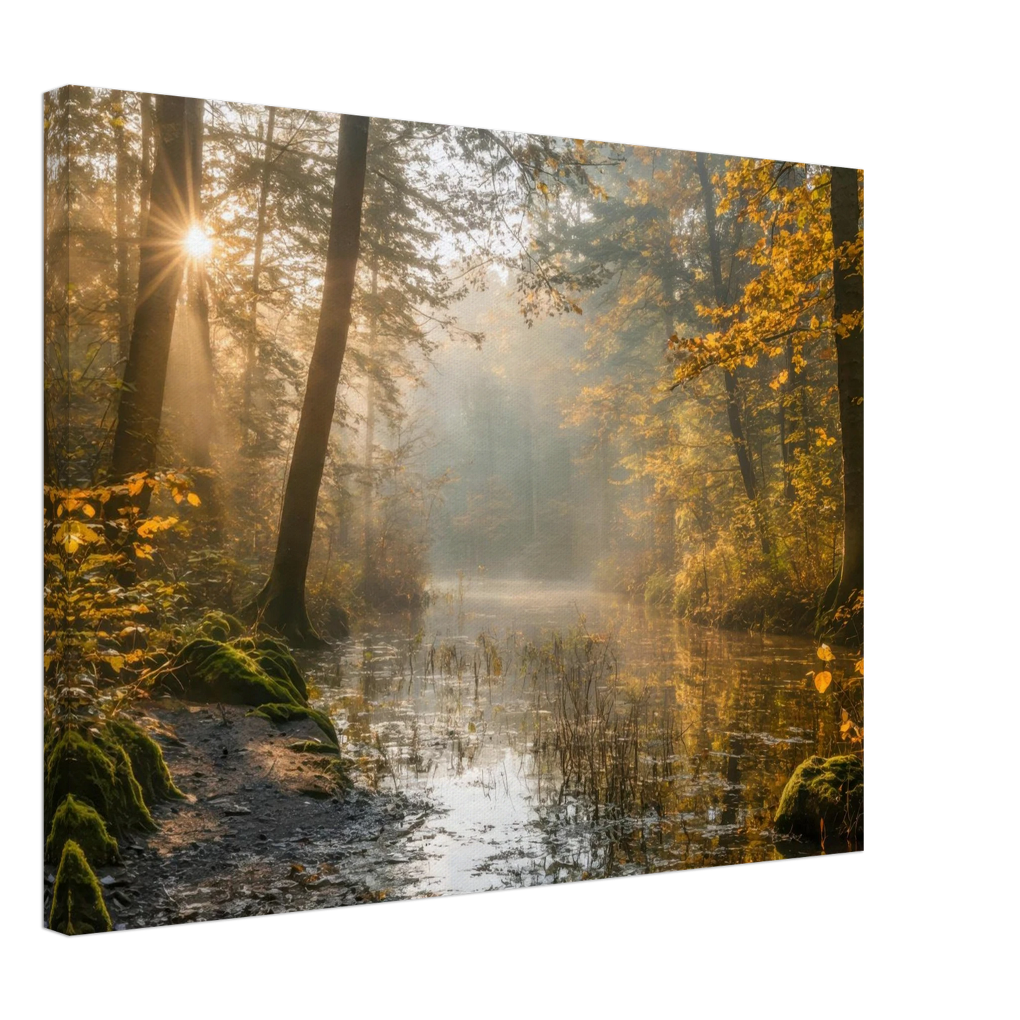 Wandbild Herbstwald morgenlicht wandbild goldenes ambiente in deiner wunschgroesse