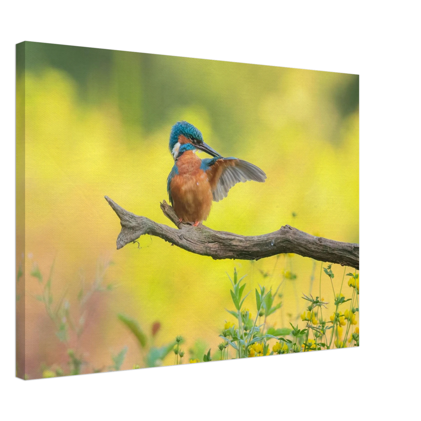 Wandbild eisvogel lebendige naturkunst fuer ihr zuhause