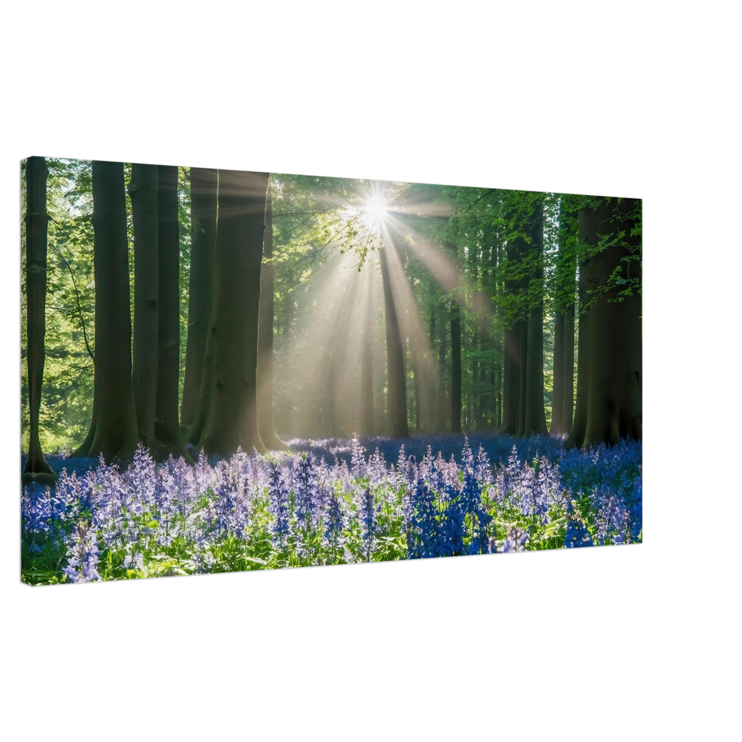 Wandbild bezaubernder wald mit sonnenstrahlen und lila bluetenmeer dein stueck natur