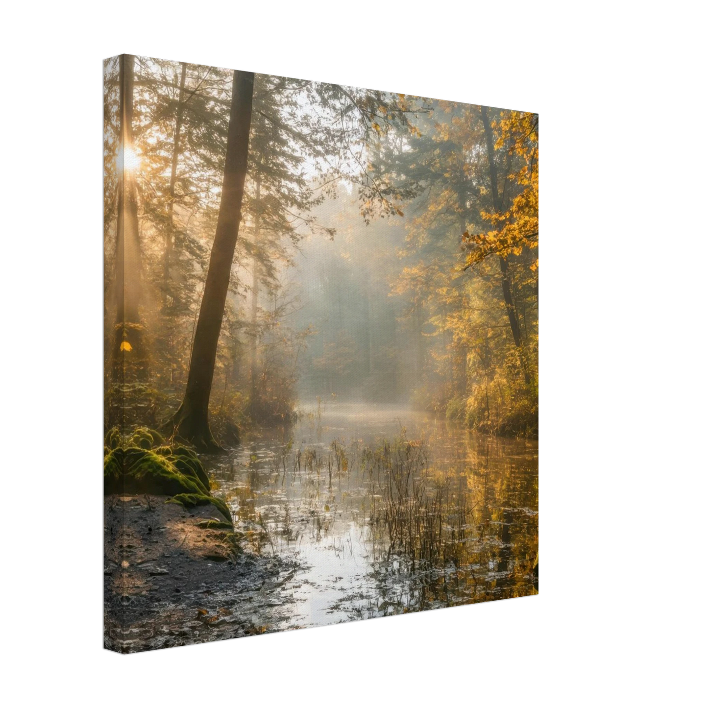 Wandbild Herbstwald morgenlicht wandbild goldenes ambiente in deiner wunschgroesse