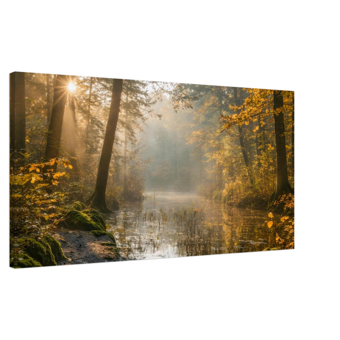 Wandbild Herbstwald morgenlicht wandbild goldenes ambiente in deiner wunschgroesse