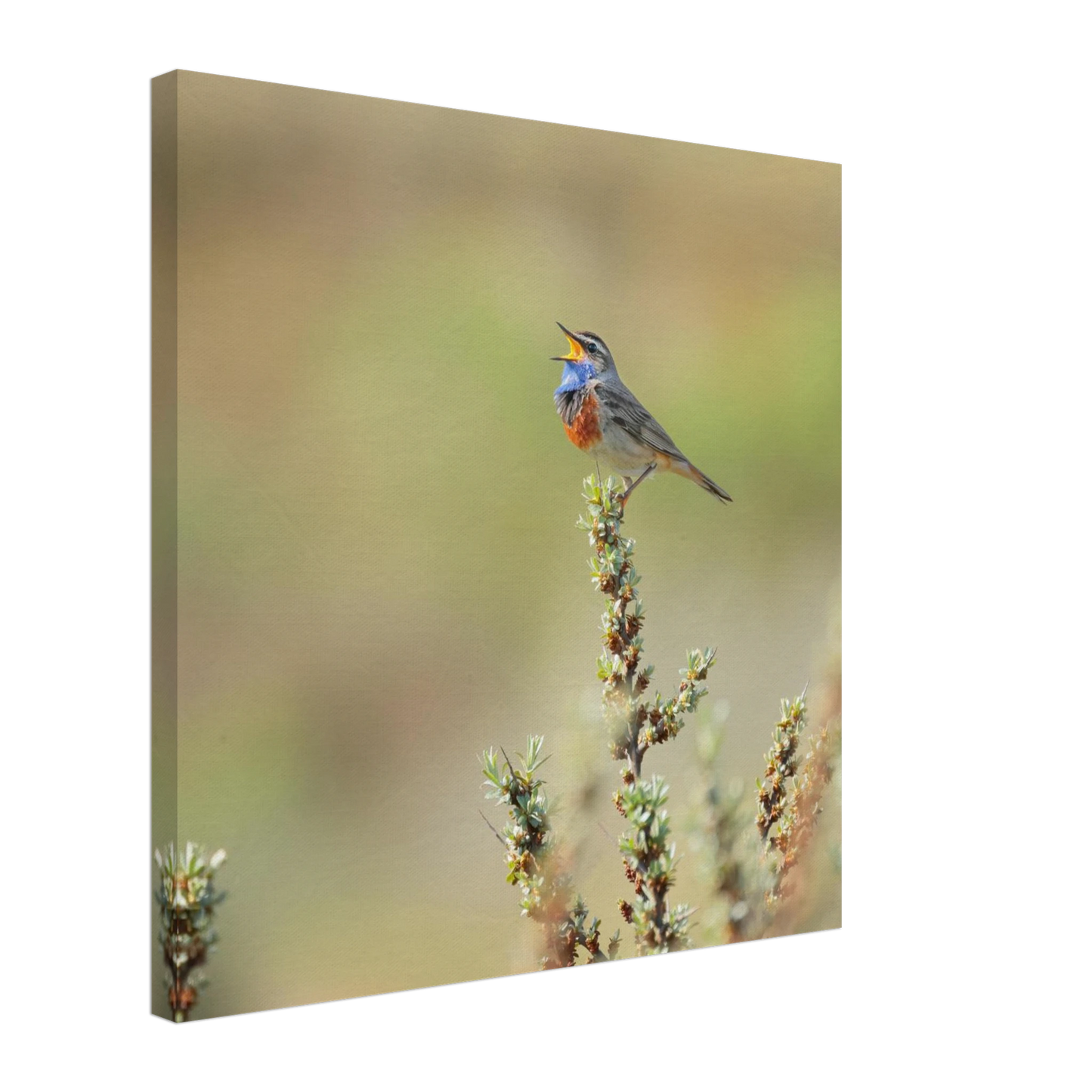 Wandbild der ruf der wildnis ein lebhaftes vogelportraet