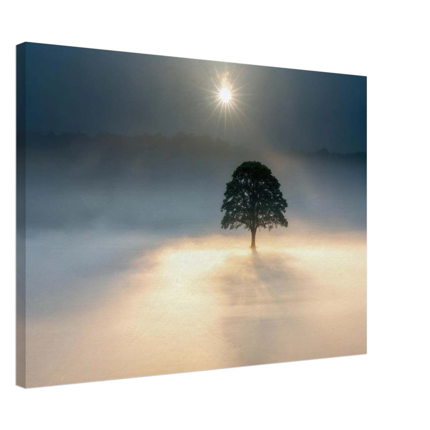 Wandbild mystisches baum wandbild einzelner baum im nebel sonnenaufgang waehlbar in verschiedenen groessen
