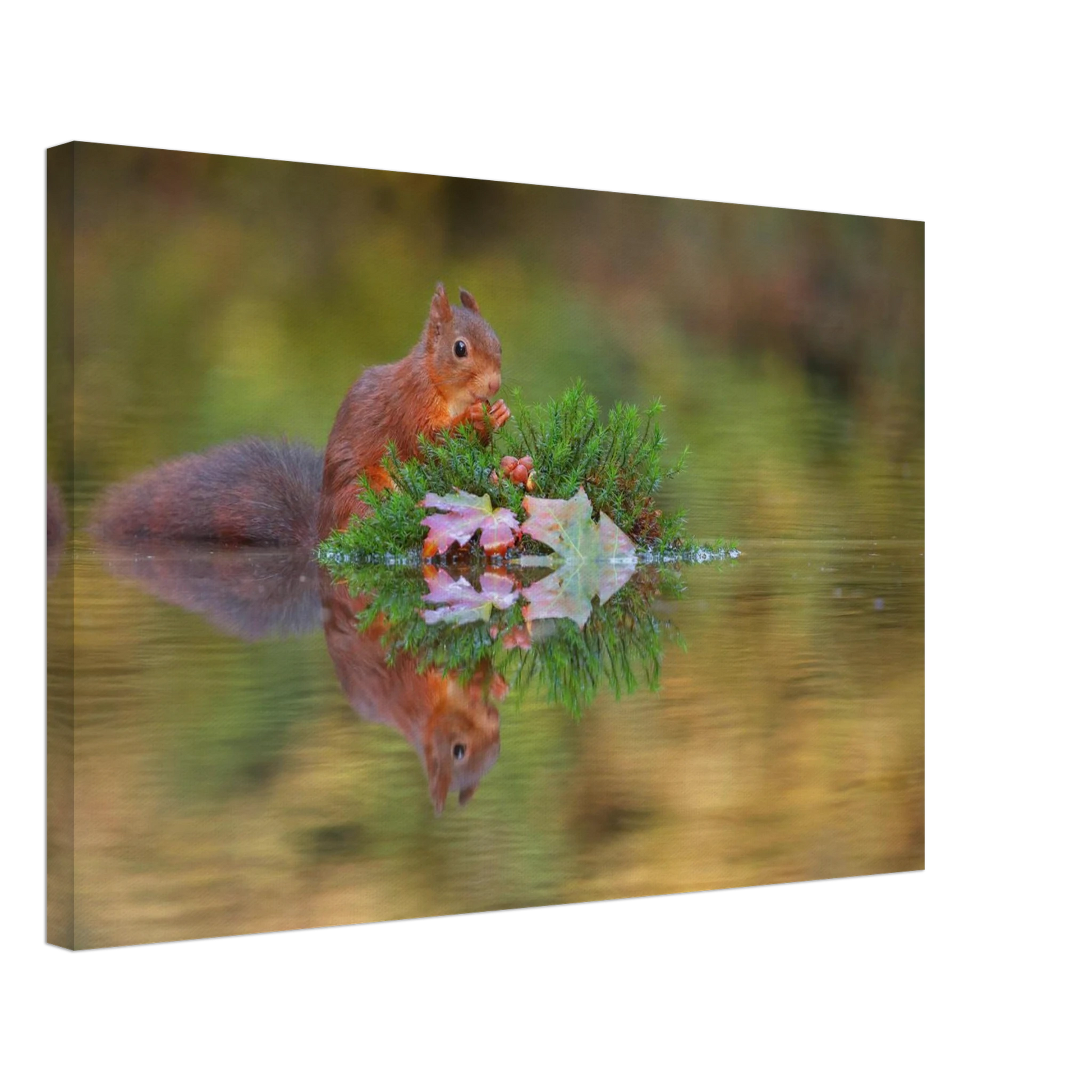 Wandbild bezauberndes eichhoernchen im herbstwald lebendige wildtierkunst fuer ihr zuhause in vielen groessen