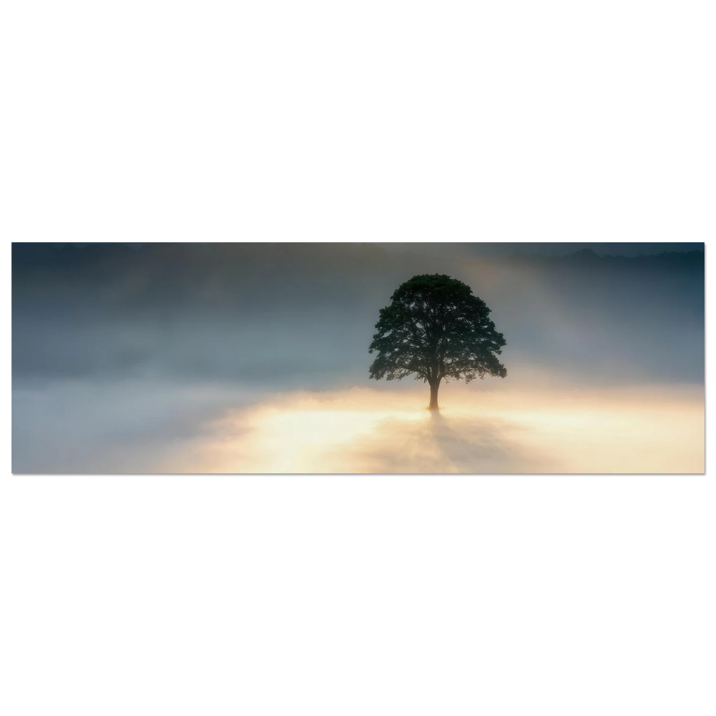 Wandbild mystisches baum wandbild einzelner baum im nebel sonnenaufgang waehlbar in verschiedenen groessen