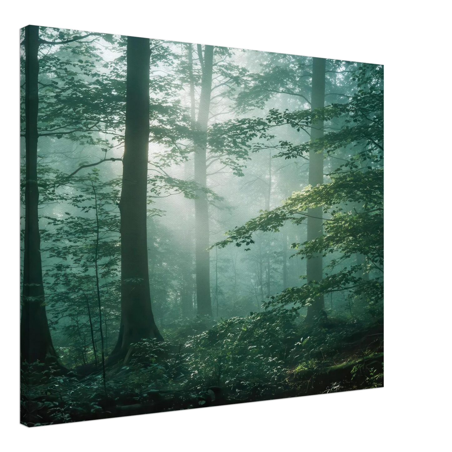 Wandbild mystischer smaragd wald mit sonnenstrahlen beruhigende nebelwald kunst in ihrer wunschgroesse