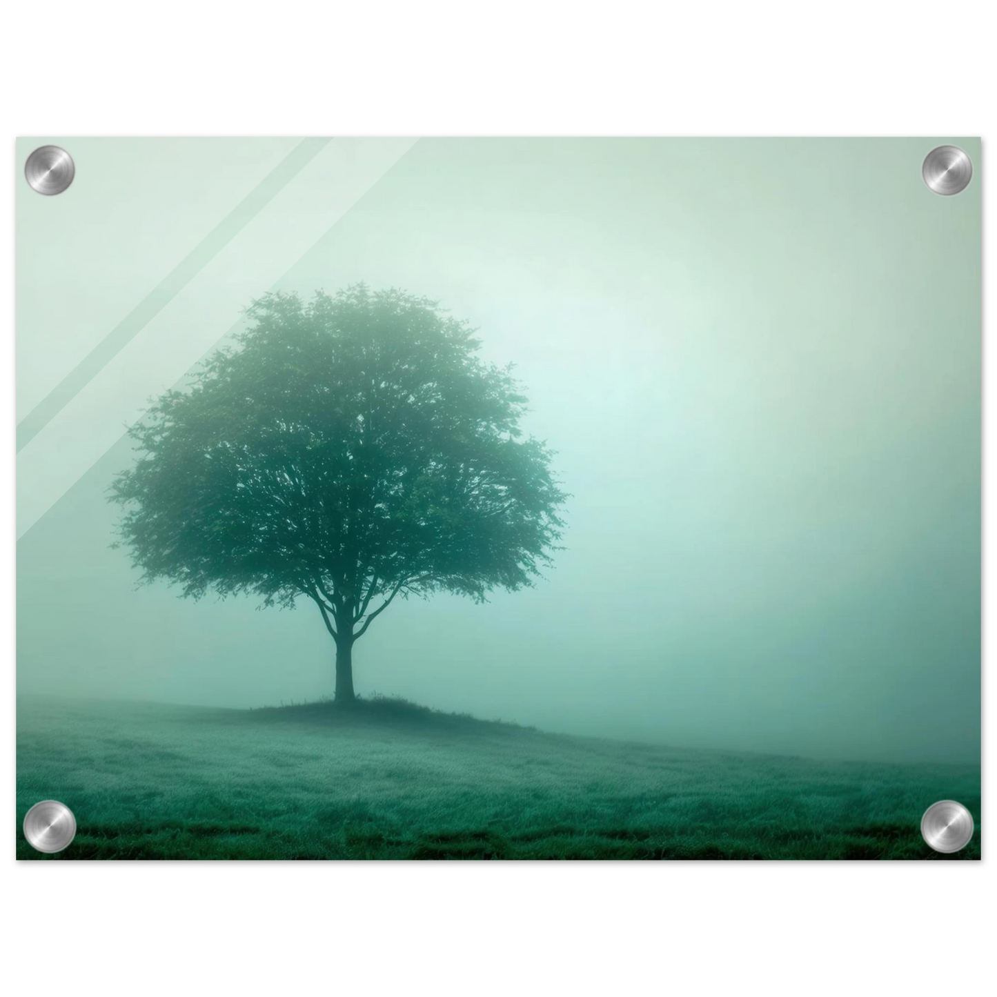 Wandbild mystischer baum im nebel ruhe und gruentoene fuer dein zuhause