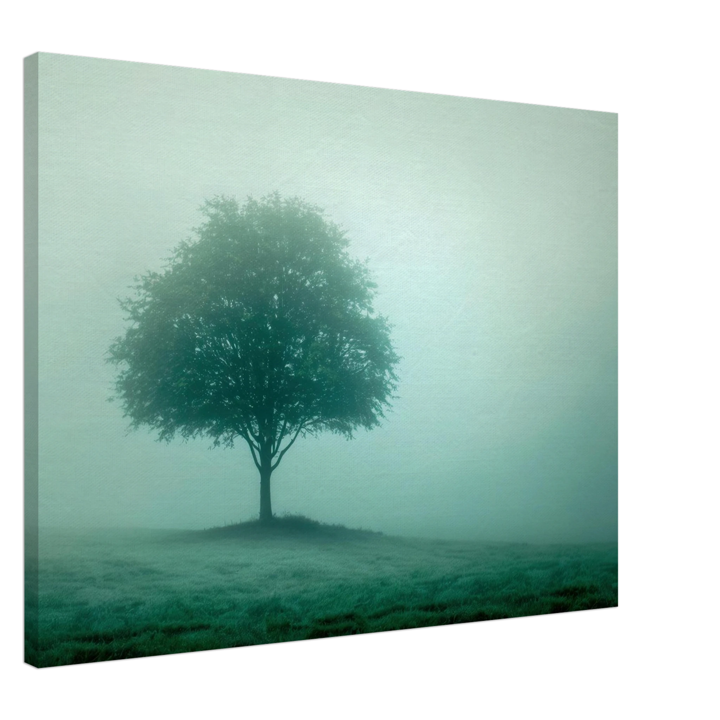 Wandbild mystischer baum im nebel ruhe und gruentoene fuer dein zuhause