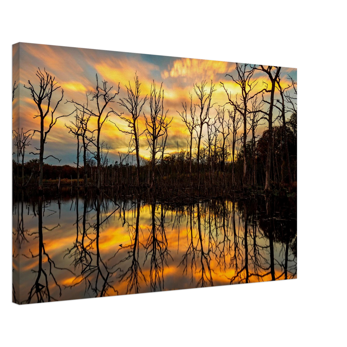 Wandbild mystischer sonnenuntergang ueber dem baumsee lebendige kunstdrucke in vielen groessen