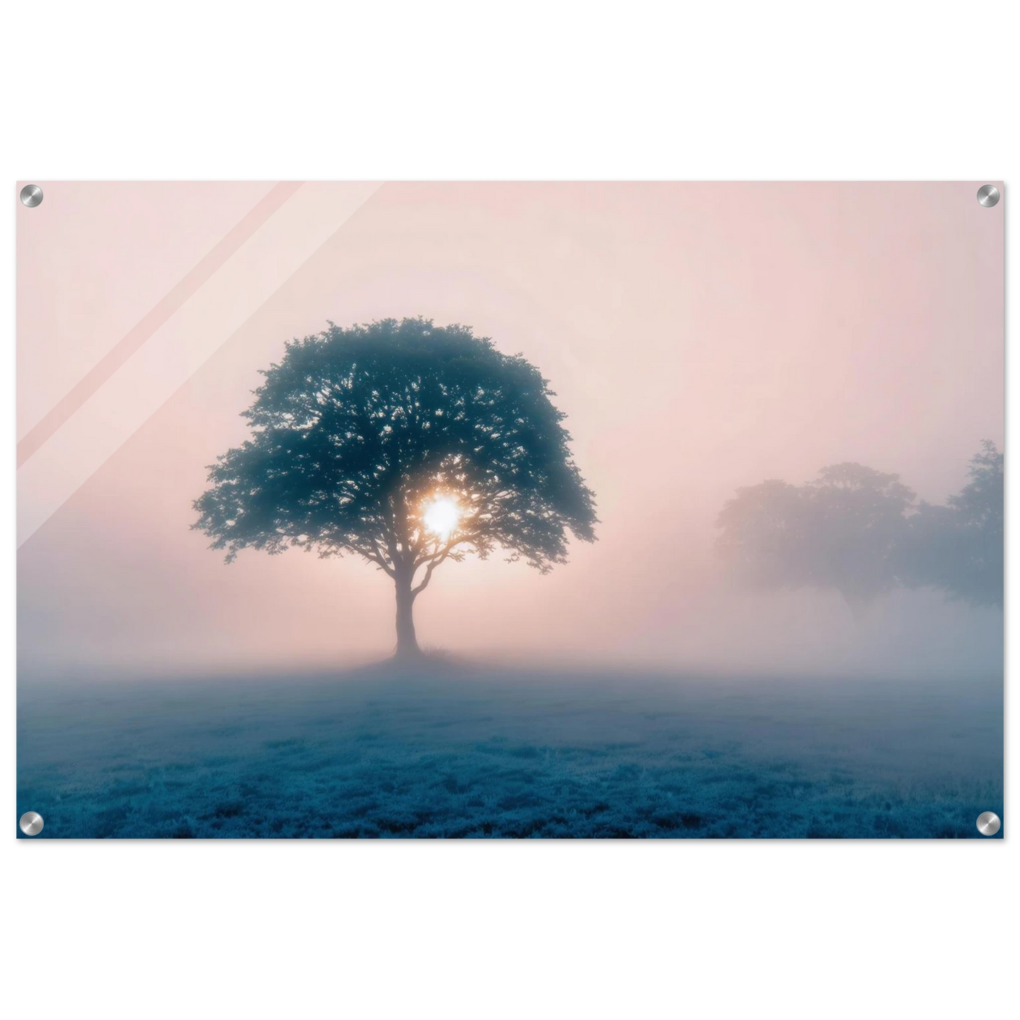 Wandbild mystischer morgendaemmerung baum traumhaftes landschaftsbild fuer ihre wohlfuehloase