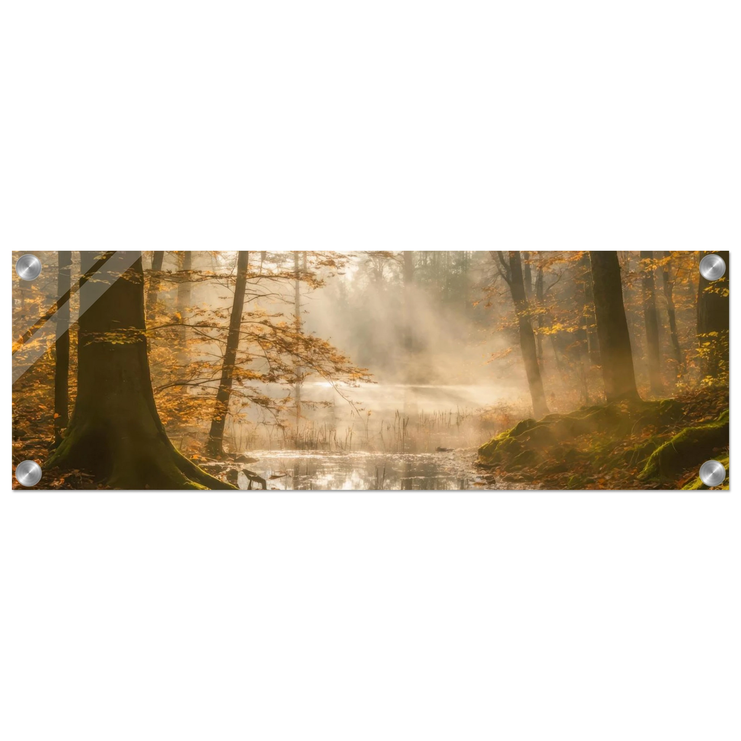 0601d328-8311-4125-ba23-724187a94e4b