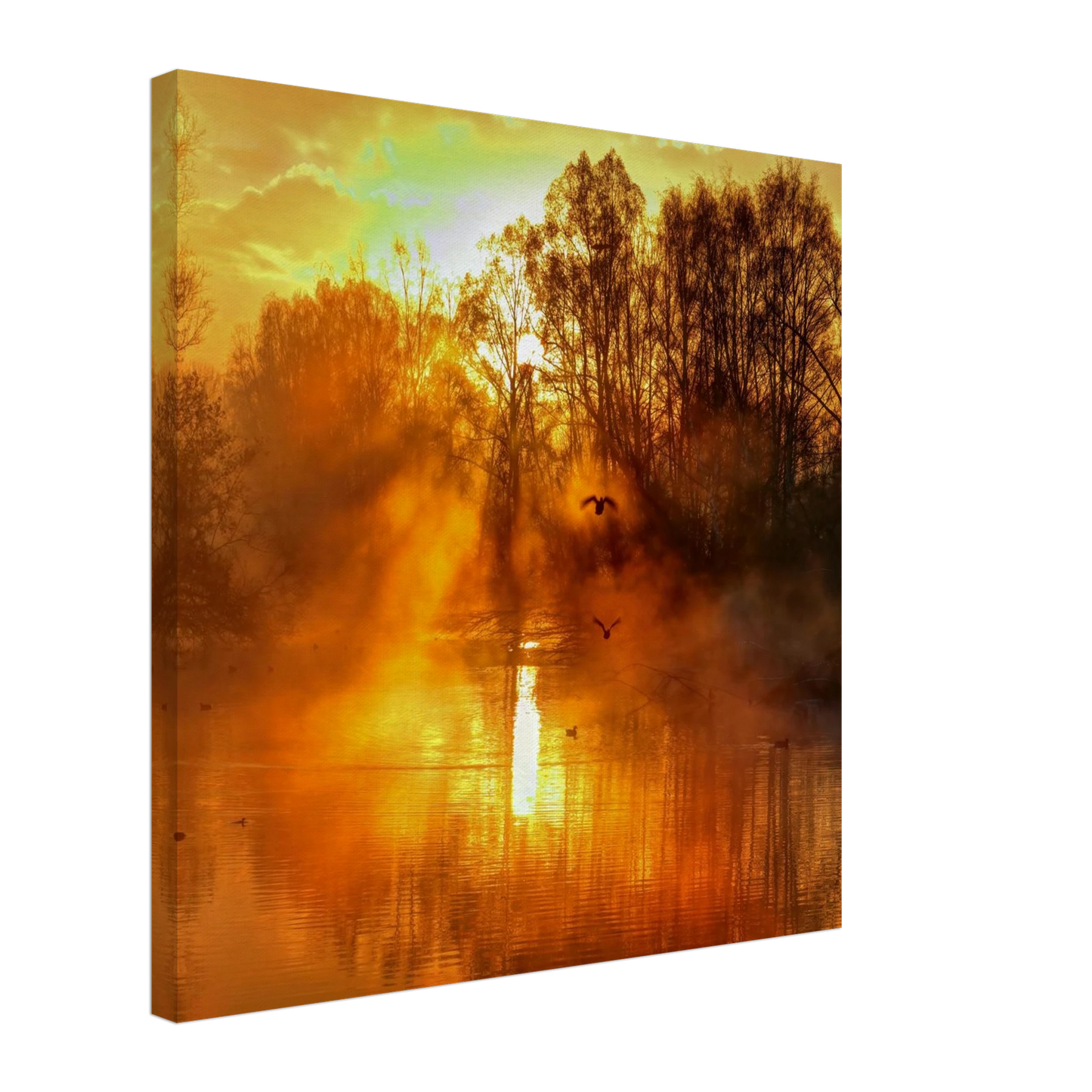 Wandbild Goldene morgenroete wandbild nebelwald poster in 25 groessenausfuehrungen