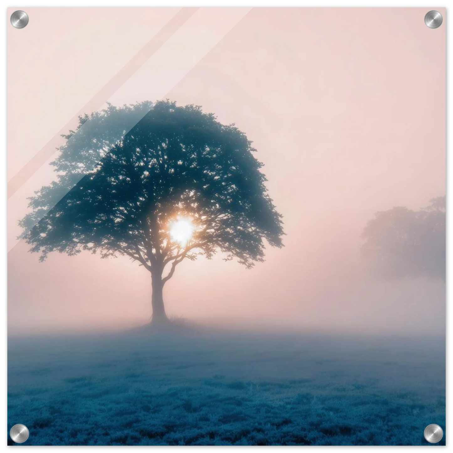 Wandbild mystischer morgendaemmerung baum traumhaftes landschaftsbild fuer ihre wohlfuehloase