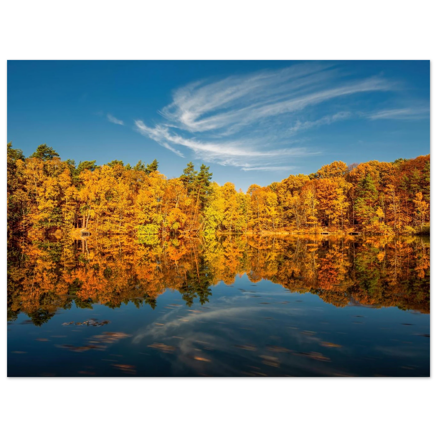 Wandbild herbstliche see symphonie atemberaubende waldspiegelung an einem sonnigen herbsttag