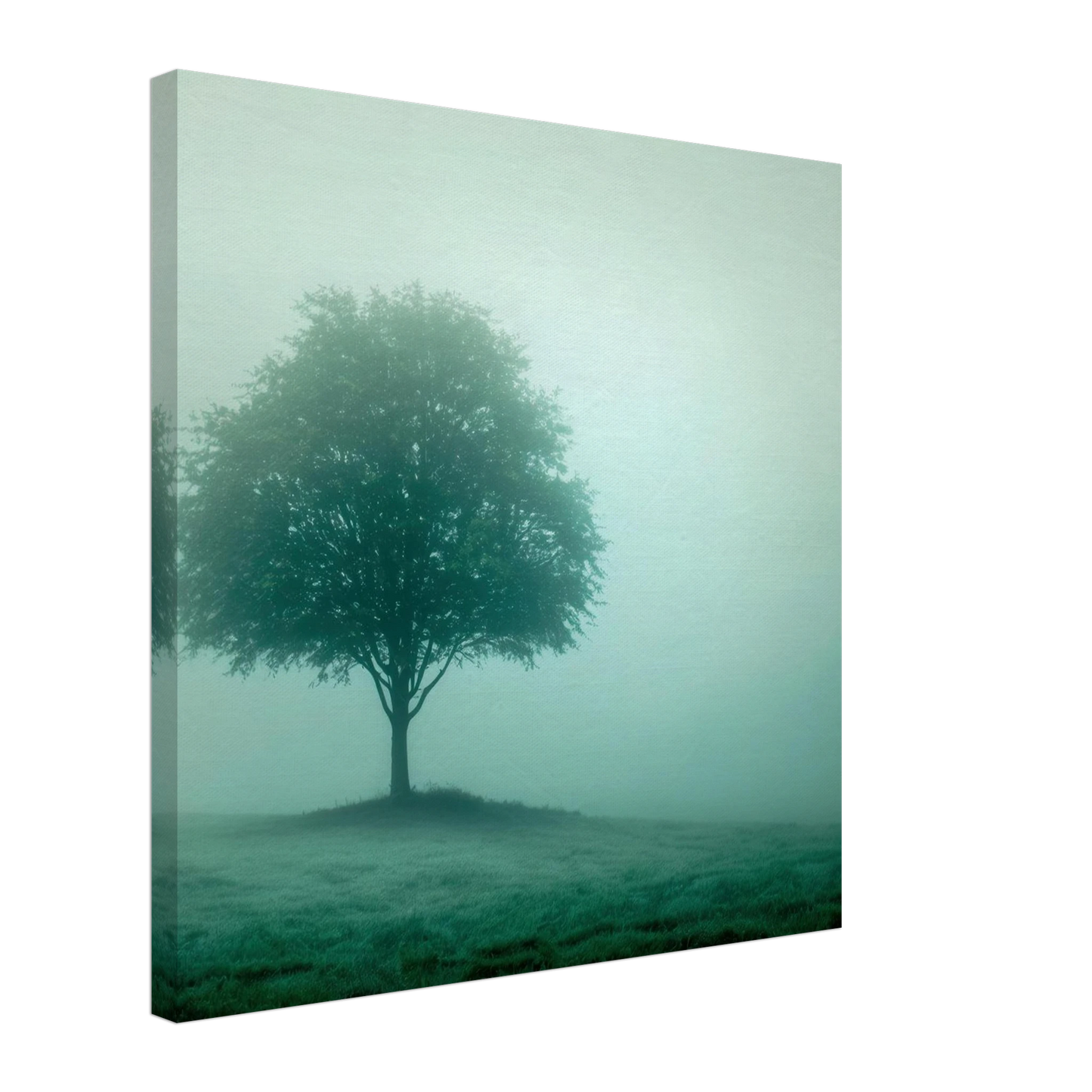 Wandbild mystischer baum im nebel ruhe und gruentoene fuer dein zuhause