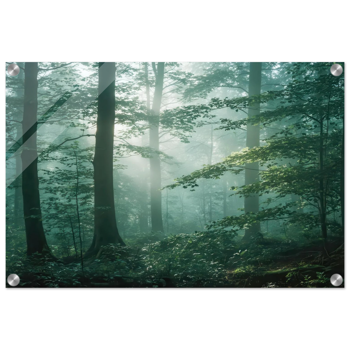 Wandbild mystischer smaragd wald mit sonnenstrahlen beruhigende nebelwald kunst in ihrer wunschgroesse