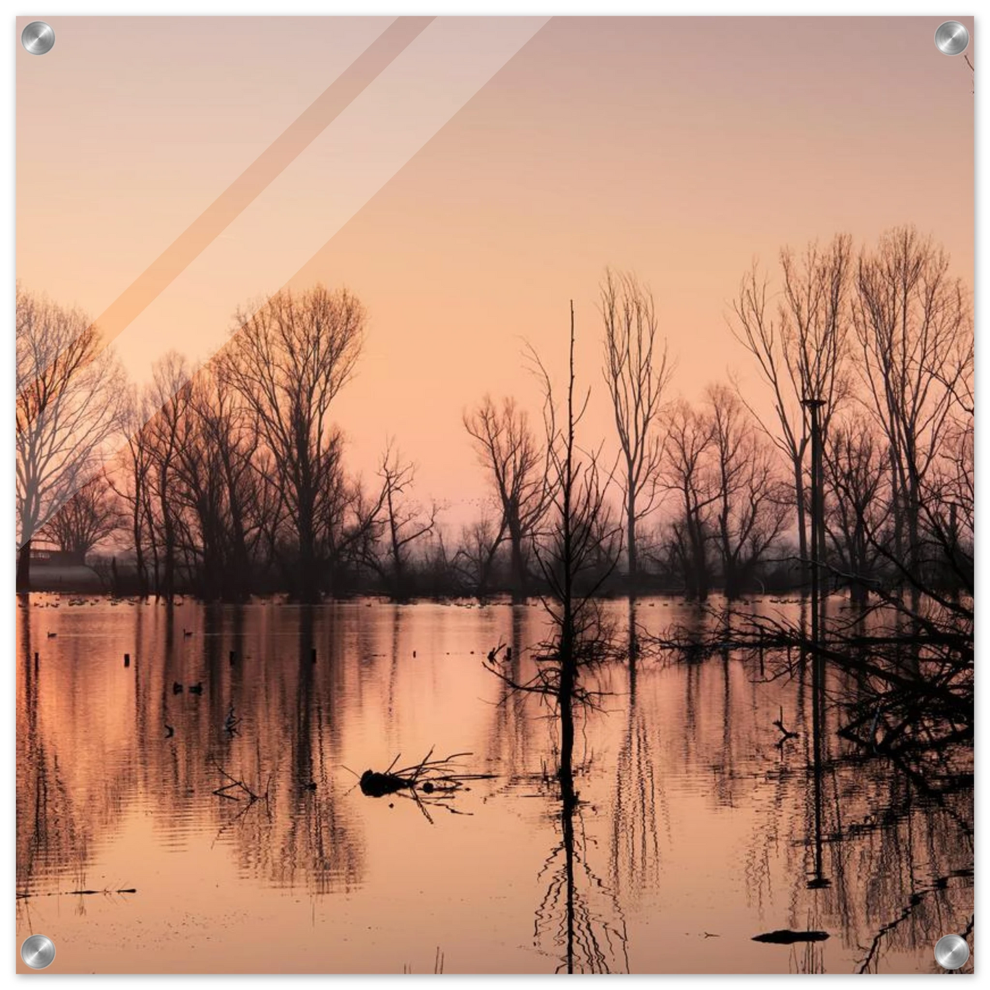 Wandbild mystischer sonnenuntergang am see vertraeumtes naturbild zum aufhaengen in ihrer wunschgroesse
