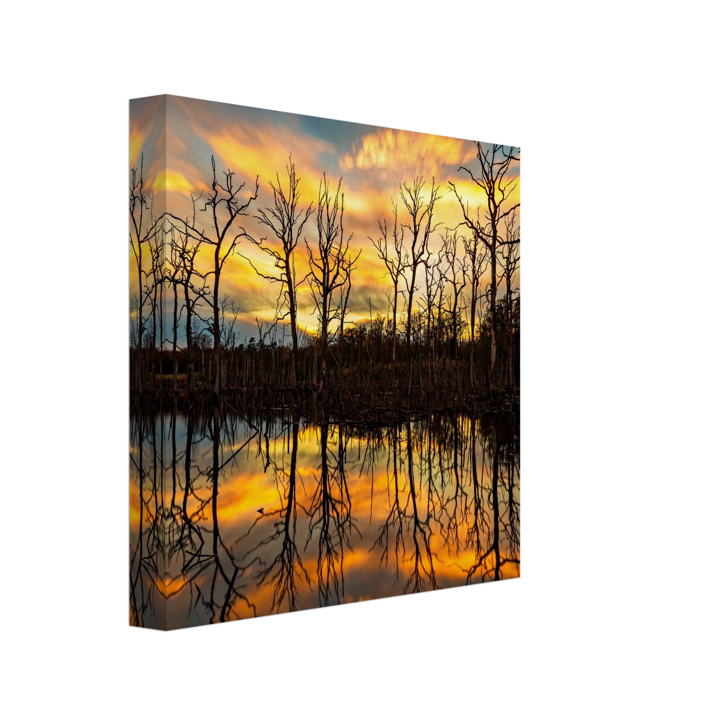 Wandbild mystischer sonnenuntergang ueber dem baumsee lebendige kunstdrucke in vielen groessen