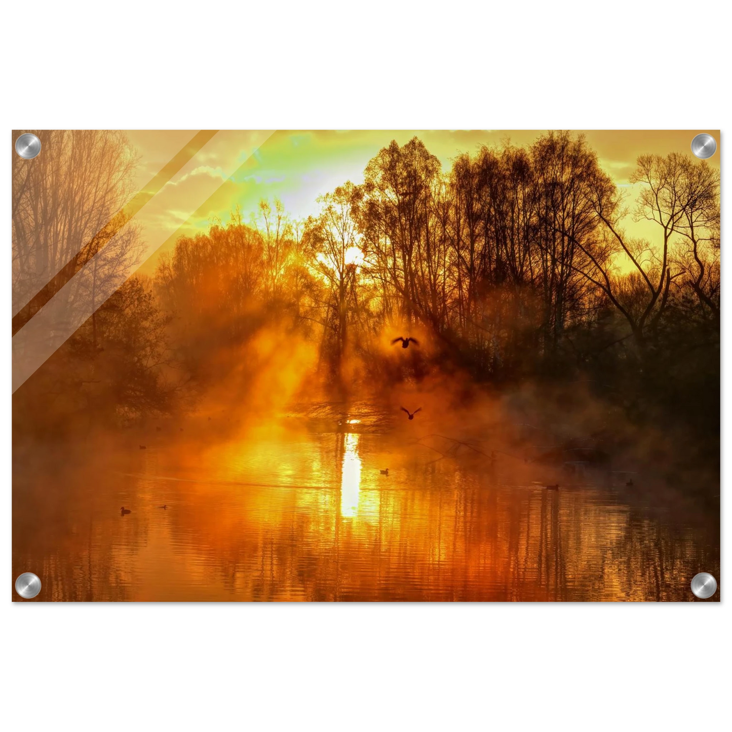 Wandbild Goldene morgenroete wandbild nebelwald poster in 25 groessenausfuehrungen