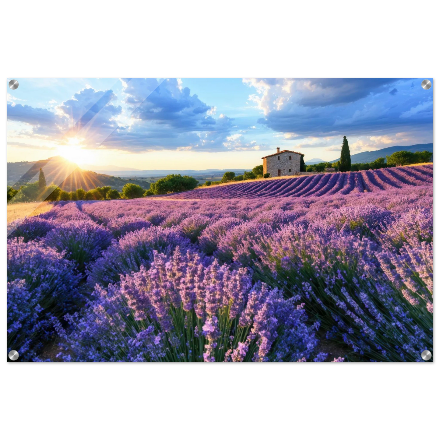 Wandbild sonnenuntergang ueber lavendelfeldern idyllische provence landschaft im wunschformat