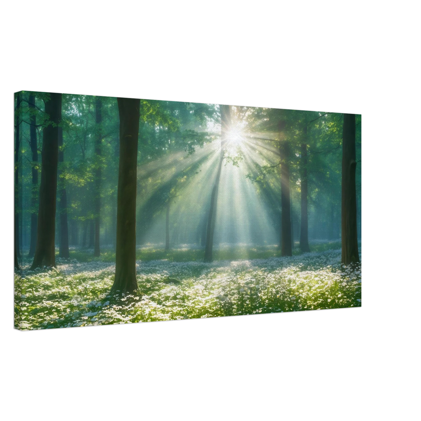 Wandbild mystischer wald sonnenstrahlen im gruenen bluetenmeer