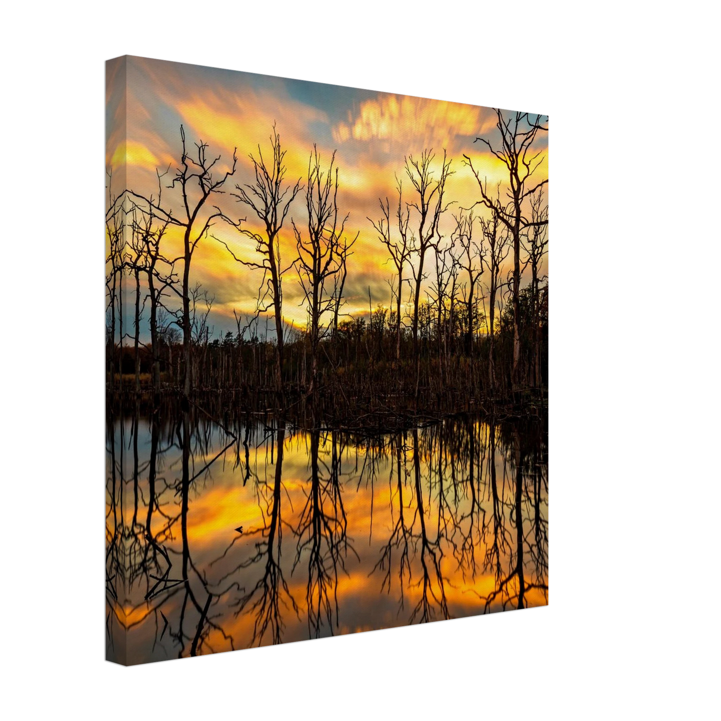 Wandbild mystischer sonnenuntergang ueber dem baumsee lebendige kunstdrucke in vielen groessen