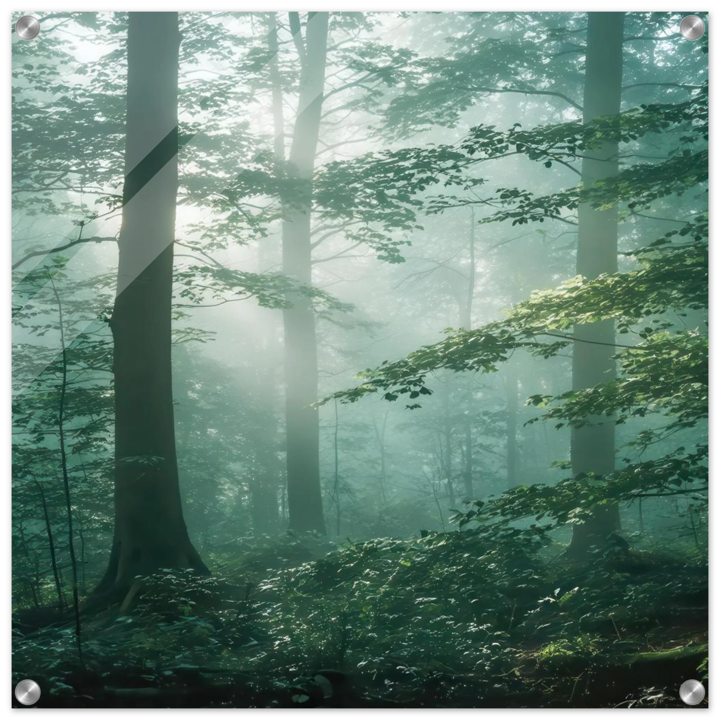 Wandbild mystischer smaragd wald mit sonnenstrahlen beruhigende nebelwald kunst in ihrer wunschgroesse