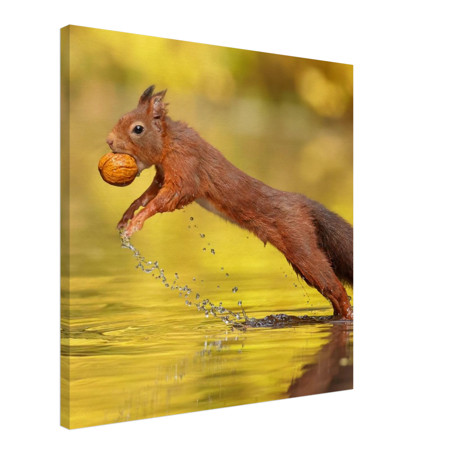 Wandbild eichhoernchen dynamische eichhoernchen kunst in lebhaften herbsttoenen