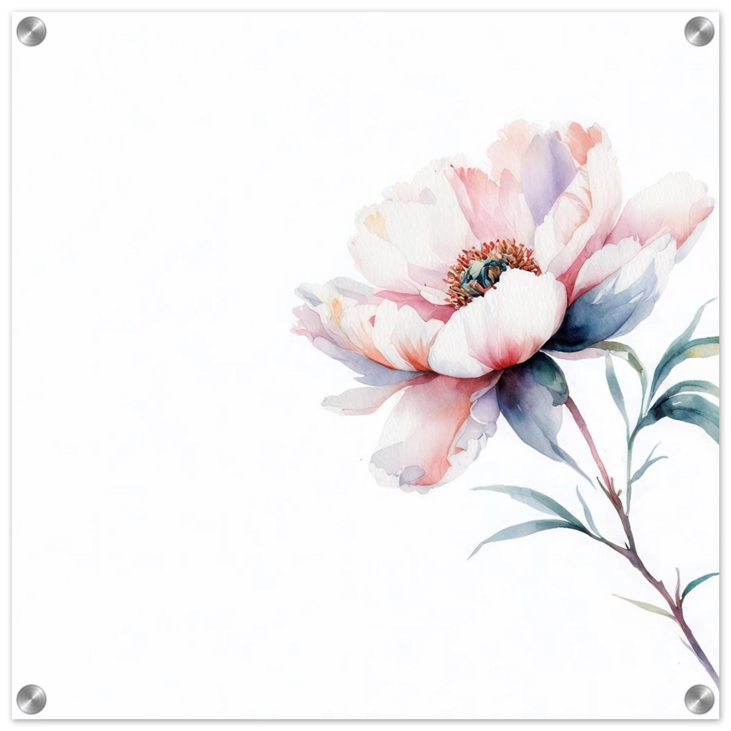 Wandbild zarte pfingstrose elegante aquarell kunst fuer ihr zuhause in wunschgroesse