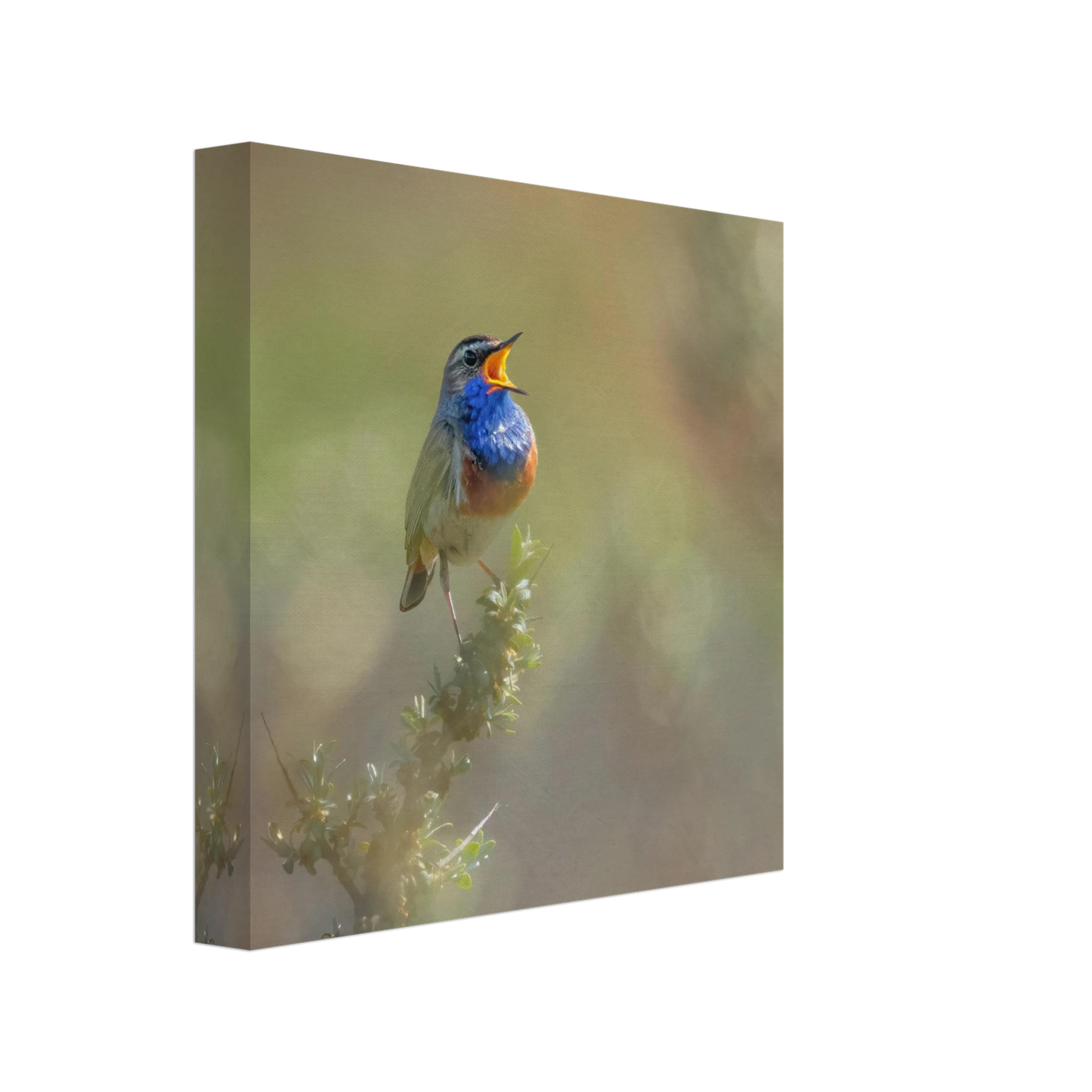Wandbild singvogel in blautoenen lebendige vogelkunst fuer ihr zuhause in ihrer wunschgroesse