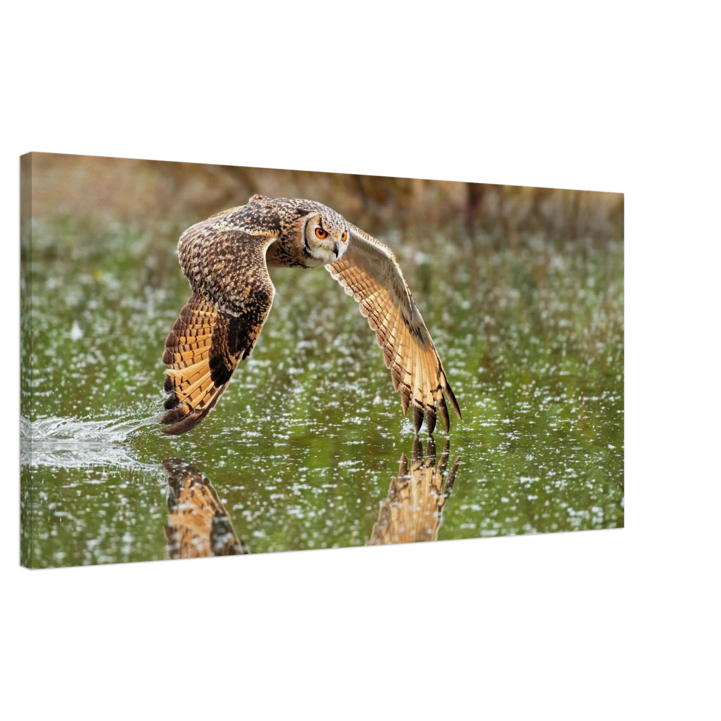 Wandbild majestaetische eule im flug naturfotografie mit lebendigen orangetoenen in ihrer wunschgroesse