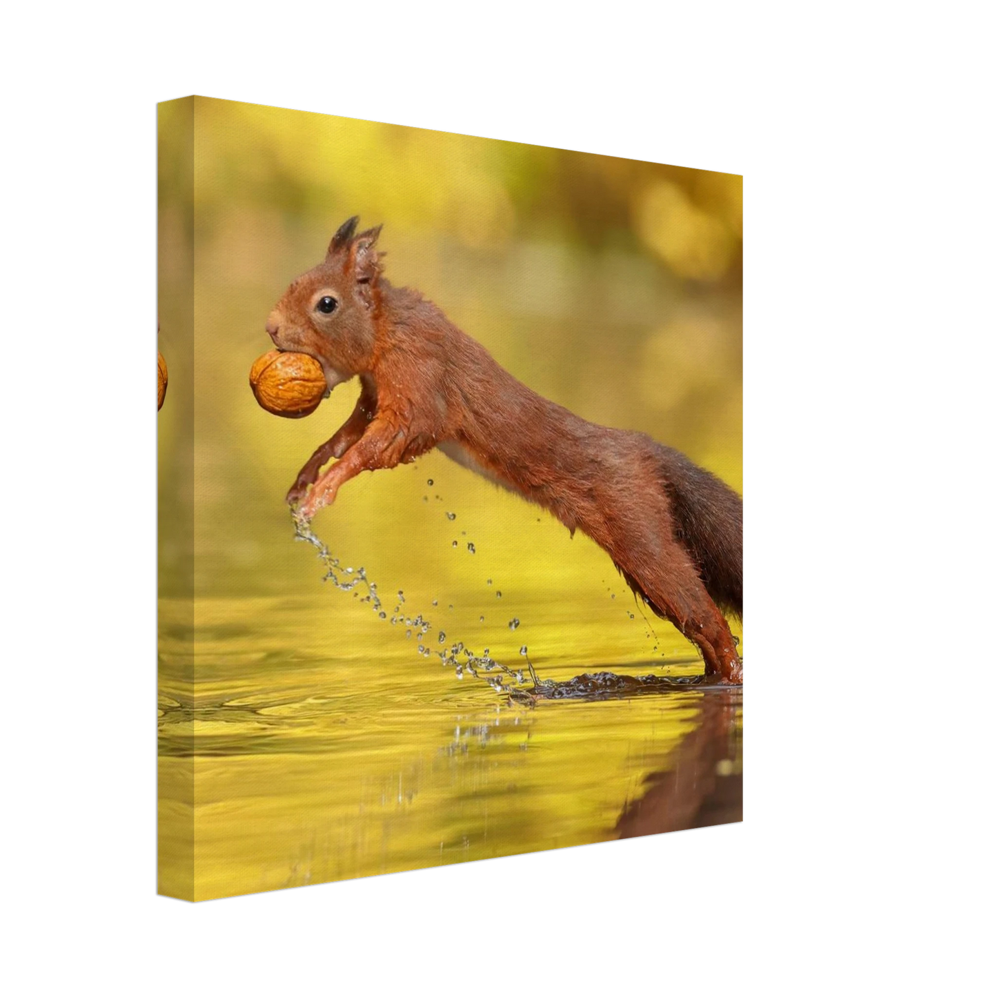 Wandbild eichhoernchen dynamische eichhoernchen kunst in lebhaften herbsttoenen