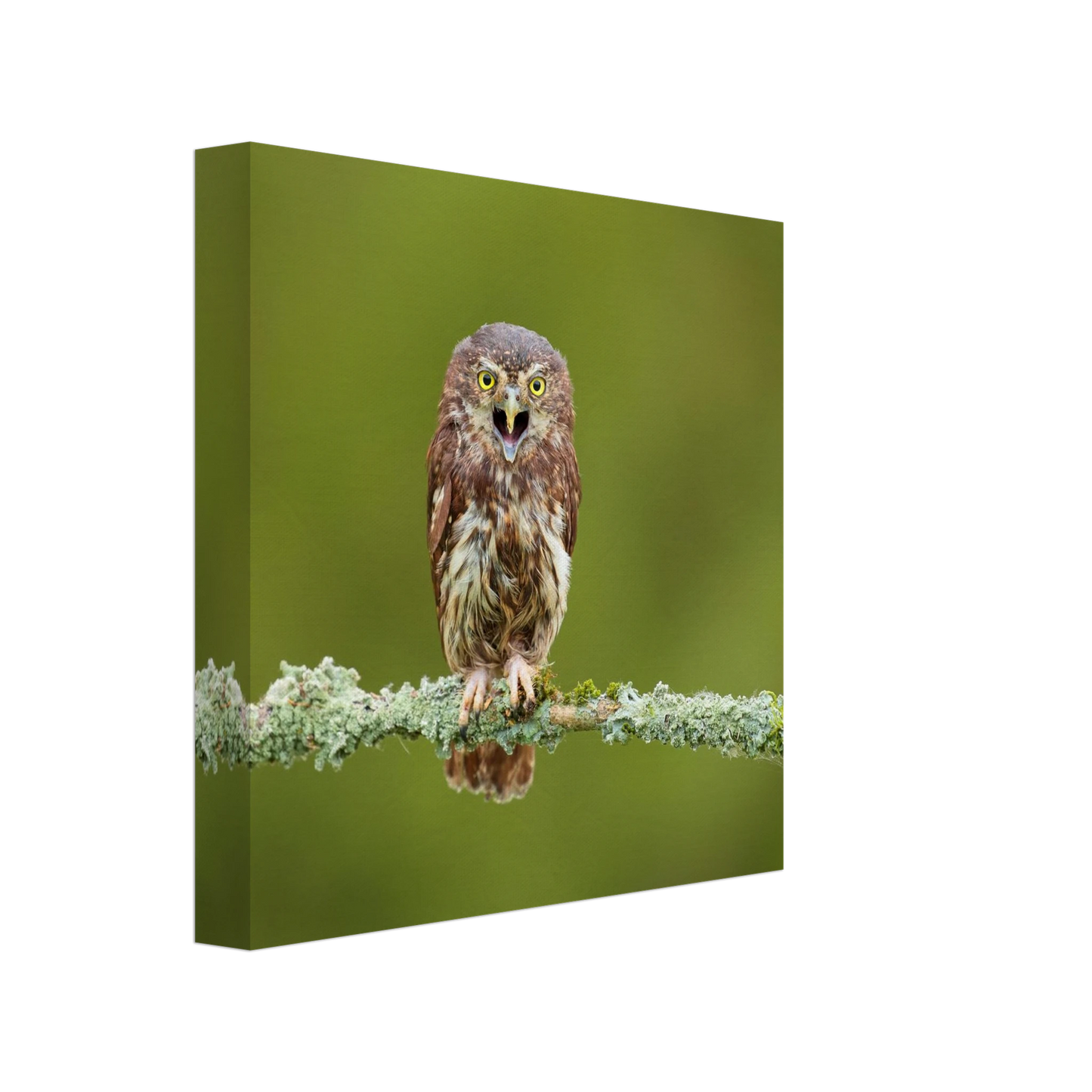 Wandbild rufer der wildnis faszinierendes eulen portraet mit leuchtenden augen fuer ihr zuhause